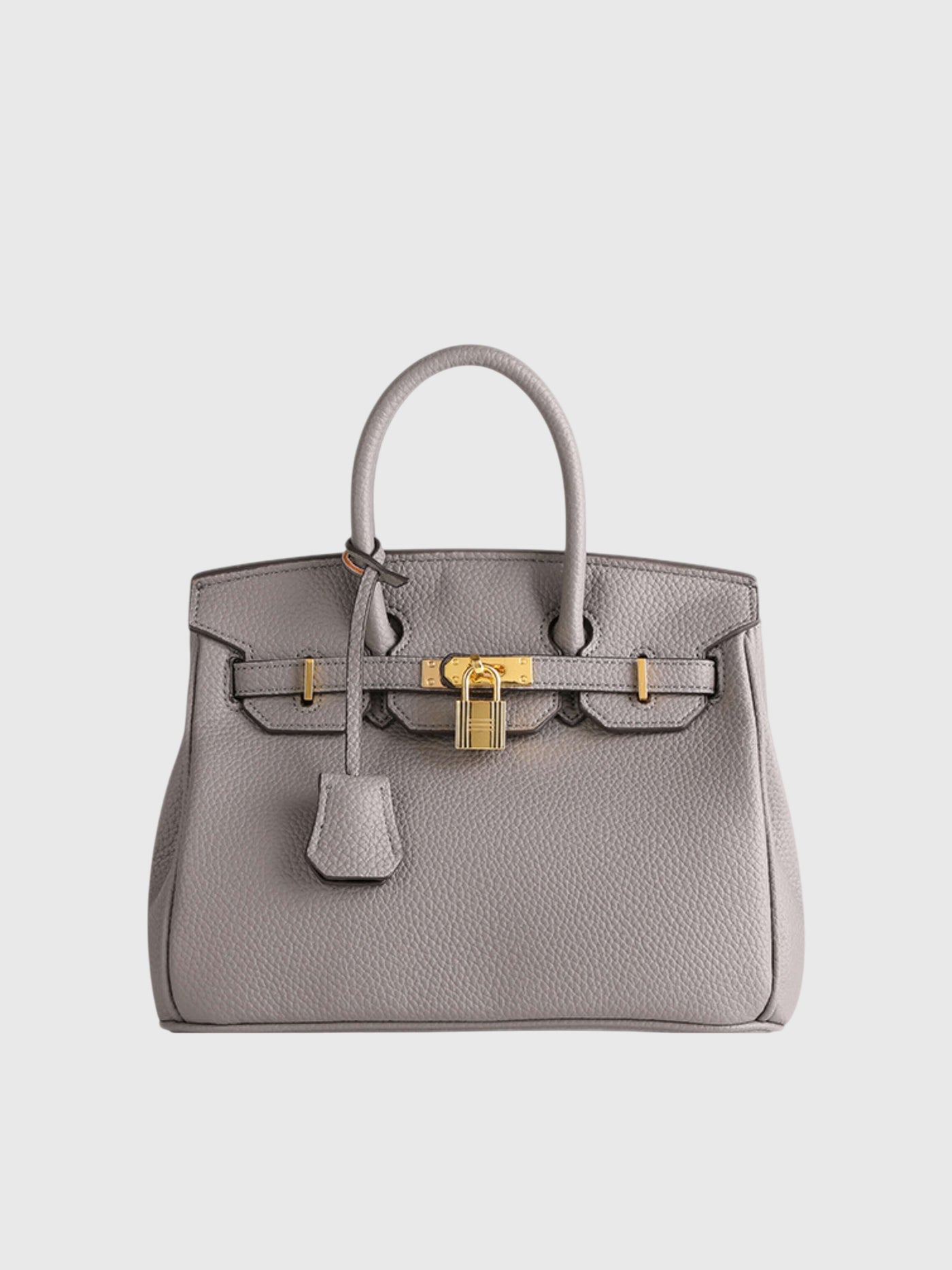 Colette | Structured Petite Lock Bag